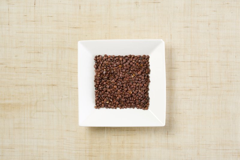 잠 못 드는 밤 면역력 뚝뚝 떨어진다… 숙면하고 싶다면 산조인茶 마셔보자 [한의사 曰 건강꿀팁]