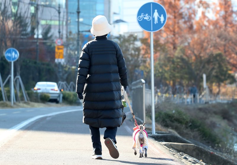 한파가 계속된 4일 오전 대구 중구 신천둔치에서 롱패딩 차림의 한 시민이 반려견과 함께 산책을 하고 있다. 2025.12.4/뉴스1 ⓒ News1 공정식 기자