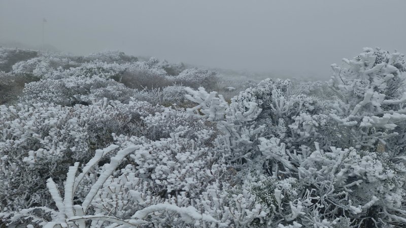 한라산에 눈이 내린 모습.(한라산국립공원 제공. 재판매 및 DB 금지)2025.11.18/뉴스1 ⓒ News1