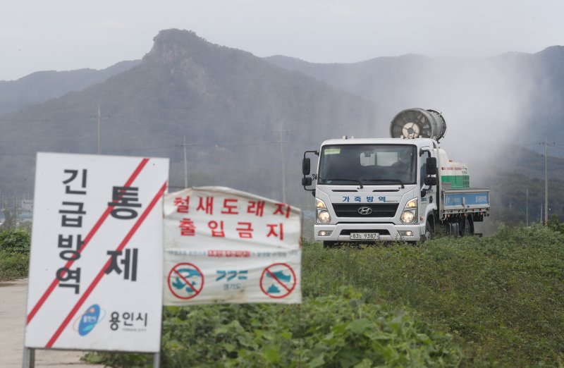 자료사진/뉴스1 ⓒ News1 김영운 기자