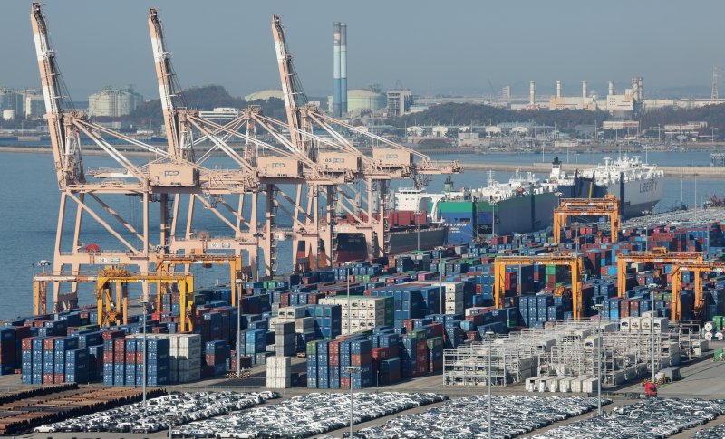 경기 평택시 포승읍 평택항에 수출용 컨테이너들이 쌓여있는 모습. 2025.11.14/뉴스1 ⓒ News1 김영운 기자