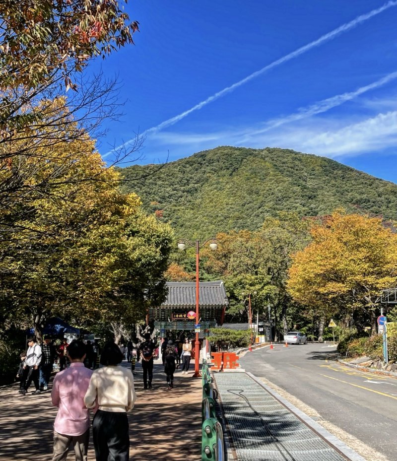 [포항=뉴시스] 경북 포항 보경사 산책로. (사진=뉴시스 DB) 2025.12.05. photo@newsis.com *재판매 및 DB 금지