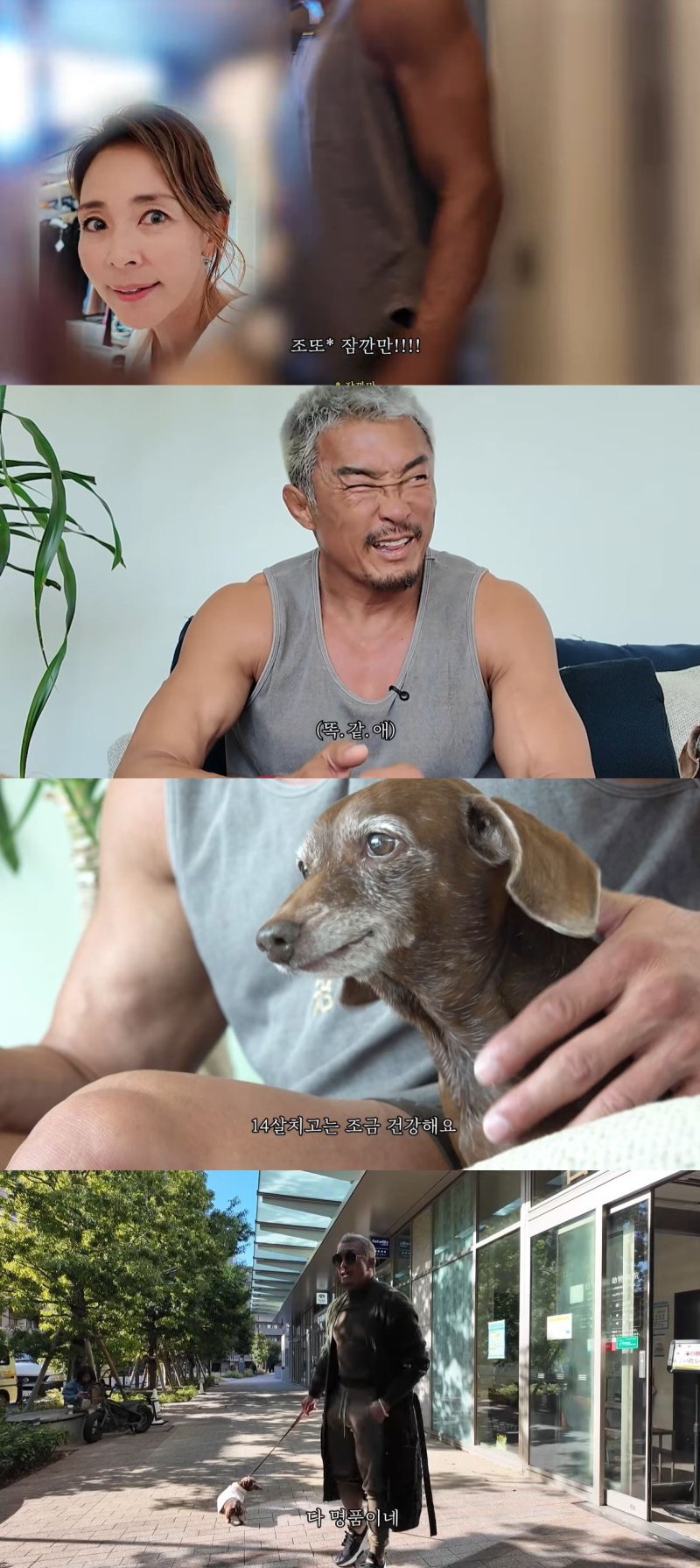 50억원 도쿄집 추성훈 "다 명품…반려견 목줄도 루이비통"