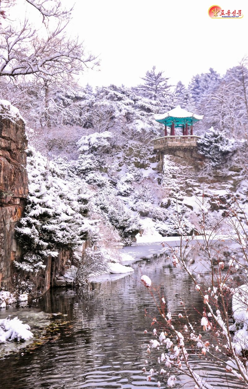 (평양 노동신문=뉴스1) = 북한 노동당 기관지 노동신문은 5일 수도 평양에 첫눈이 내렸다는 소식을 전했다. [국내에서만 사용가능. 재배포 금지. DB 금지. For Use Only in the Republic of Korea. Redistribution Prohibited] rodongphoto@news1.kr