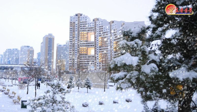 (평양 노동신문=뉴스1) = 북한 노동당 기관지 노동신문은 5일 수도 평양에 첫눈이 내렸다는 소식을 전했다. [국내에서만 사용가능. 재배포 금지. DB 금지. For Use Only in the Republic of Korea. Redistribution Prohibited] rodongphoto@news1.kr