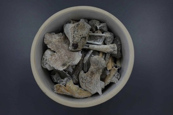 [서울=뉴시스] 국군 제3사단 소속 고(故) 정용환 일병 유해. (사진=국방부 제공) 2025.12.05. photo@newsis.com *재판매 및 DB 금지