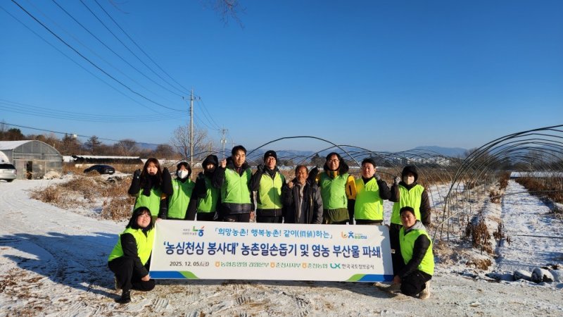 농협중앙회 강원본부와 한국국토정보공사 강원본부, 농촌일손돕기 실시.(강원농협 제공, 재판매 및 DB금지)