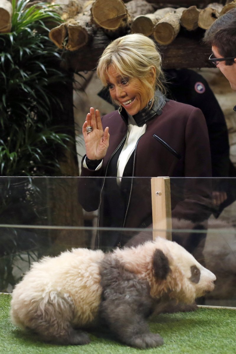 【생테냥쉬르셰르=AP/뉴시스】 ﻿﻿에마뉘엘 마크롱 프랑스 대통령이 중국을 국빈 방문 중인 가운데, 중국이 오는 2027년 프랑스에 암수컷 판다 한 쌍을 추가로 보낼 예정이라고 밝혔다. 사진은 에마뉘엘 마크롱 프랑스 대통령의 부인 브리지트 여사가 2017년 보발 동물원에서 생후 4개월 된 아기 판다를 향해 손을 흔드는 모습. 2025.12.05