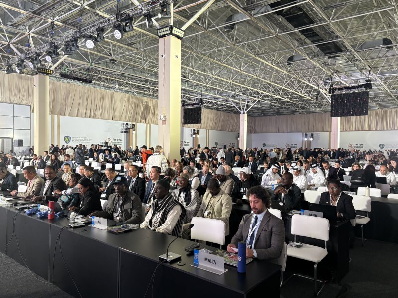 [세종=뉴시스] 기후에너지환경부 등 정부 대표단은 5일(현지 시각) CITES 제20차 당사국총회 본회의가 마무리됐다고 밝혔다. (사진=기후부 제공) 2025.12.05. photo@newsis.com *재판매 및 DB 금지