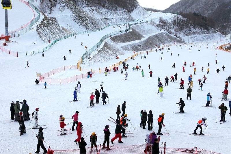 태백 오투리조트 스키장.(사진=오투리조트 제공) *재판매 및 DB 금지