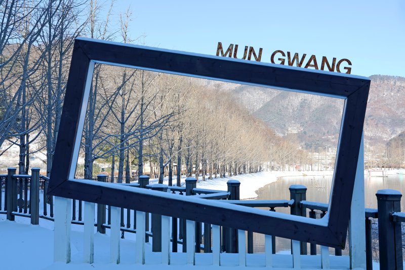 [괴산=뉴시스] 5일 충북 괴산군 문광 양곡저수지의 은행나무길이 눈으로 덮여있다. (사진= 괴산군 제공) 2025.12.05. photo@newsis.com