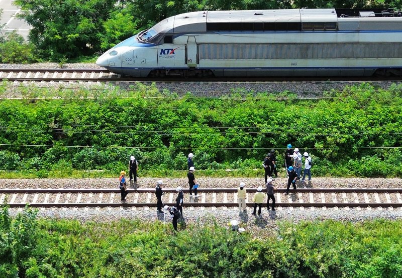 20일 오후 경북경찰청, 국립과학수사연구원, 항공철도사고조사위원회, 노동 당국 등 합동감식에 참여한 기관 관계자들이 경북 청도군 화양읍 삼신리 경부선 무궁화호 열차 사고 현장에서 합동감식을 진행하고 있다. 2025.8.20/뉴스1 ⓒ News1 공정식 기자