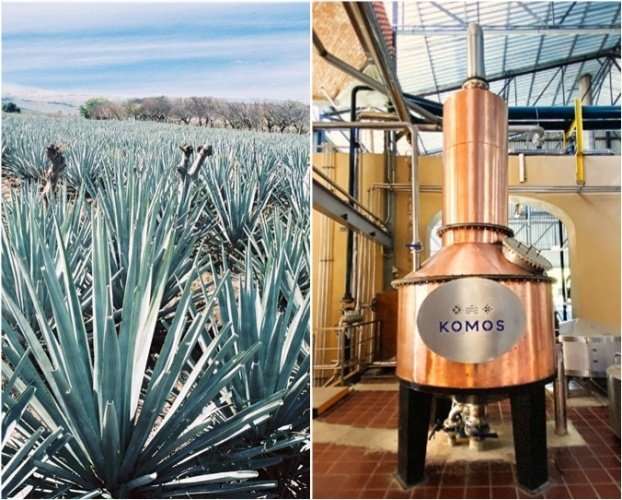 데킬라 원료인 블루 아가베(왼쪽)와 코모스 데킬라를 증류하는 알렌빅 증류기(하이트진로 제공)