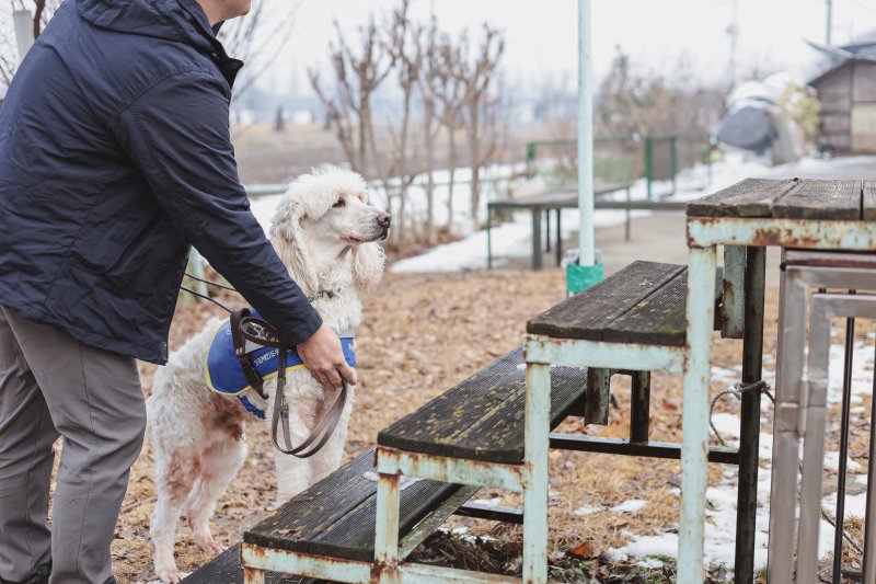 [서울=뉴시스] 한국장애인도우미견협회에서 장애인보조견 훈련 중인 모습. (사진=협회 제공) 2025. 12. 6. *재판매 및 DB 금지