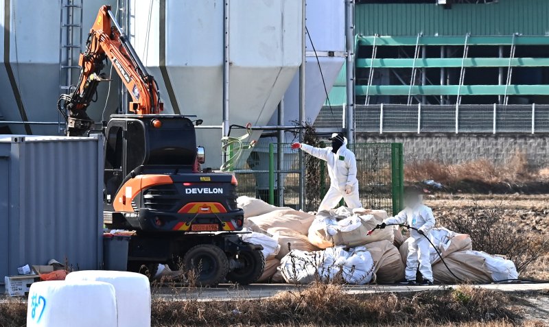 [평택=뉴시스] 김종택기자 = H5형 조류인플루엔자 항원이 검출된 경기 평택시 한 산란계 농장에서 2일 관계자들이 살처분 작업을 하고 있다.고병원성 조류인플루엔자(AI) 중앙사고수습본부는 경기 평택시 소재 산란계 농장에서 H5형 AI 항원이 확인됐다고 지난 1일 밝혔다. 2025.12.02. jtk@newsis.com