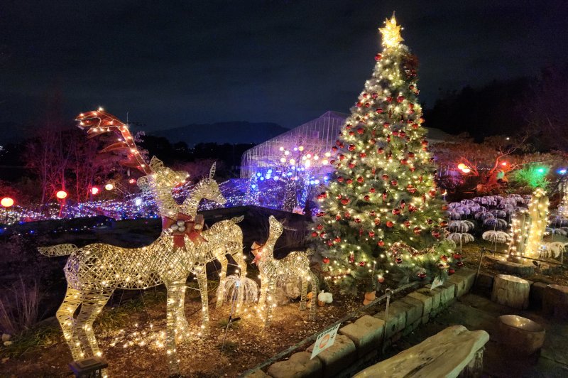 [창원=뉴시스]창원 진해보타닉뮤지엄.(사진=경남도 제공) 2025.12.06. *재판매 및 DB 금지