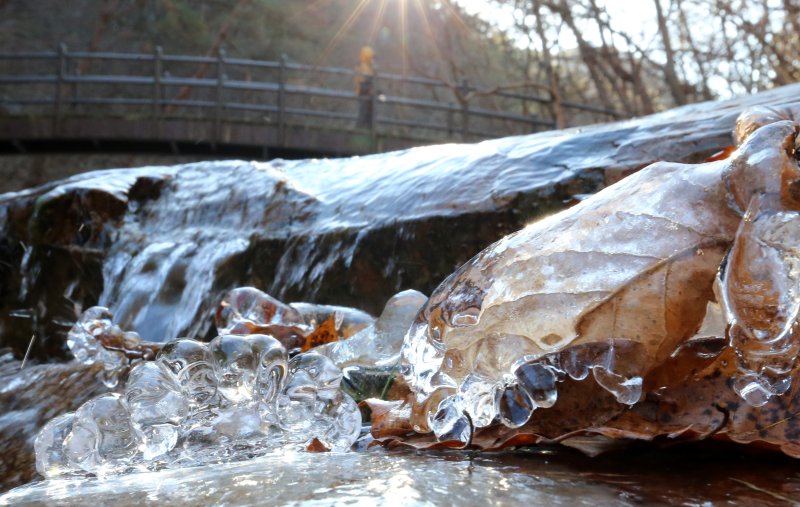 영하의 추운 날씨를 보인 대전 유성구 계룡산국립공원 내 수통골 계곡에 얼음이 얼어 있다. /뉴스1 ⓒ News1 김기태 기자