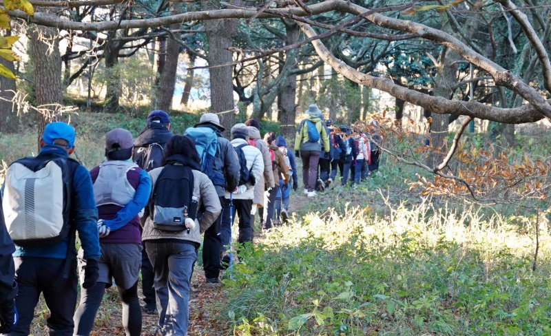 [제주=뉴시스] 오영재 기자 = 6일 오전 제주대학교에서 뉴시스 제주본부 주최·제주트레일워킹협회 주관으로 열린 '2025년 제주 트레일워킹 아카데미(Jeju Trail Walking Academy)' 제2회 실전체험에서 교육생들이 숲속을 걷고 있다. 2025.12.06. oyj4343@newsis.com