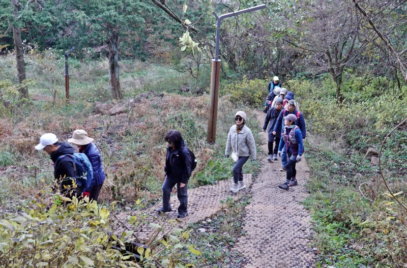 [제주=뉴시스] 오영재 기자 = 6일 오전 제주 삼의악오름에서 뉴시스 제주본부 주최·제주트레일워킹협회 주관으로 열린 '2025년 제주 트레일워킹 아카데미(Jeju Trail Walking Academy)' 제2회 실전체험 교육생들이 걷고 있다. 2025.12.06. oyj4343@newsis.com