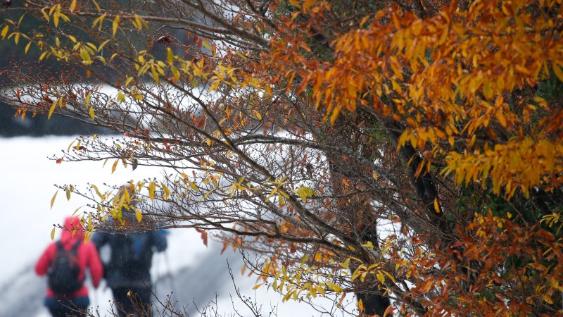 [제주=뉴시스] 우장호 기자 = 제주 한라산 어리목 탐방에 등반객들이 눈 쌓인 도로를 걸어가고 있다. 2025.11.19. woo1223@newsis.com