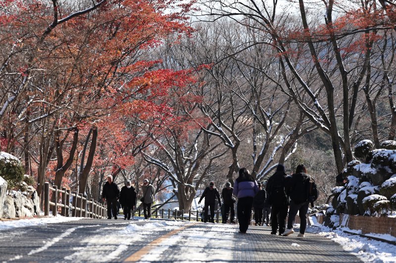 산책하는 시민들.(뉴스1 DB)