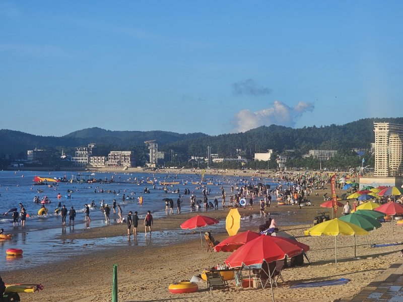 [태안=뉴시스] 김덕진 기자 = 지난 8월15일 충남 태안군 소원면 만리포해수욕장을 찾은 관광객들이 해수욕을 즐기고 있다. 2025.12.07. spark@newsis.com *재판매 및 DB 금지