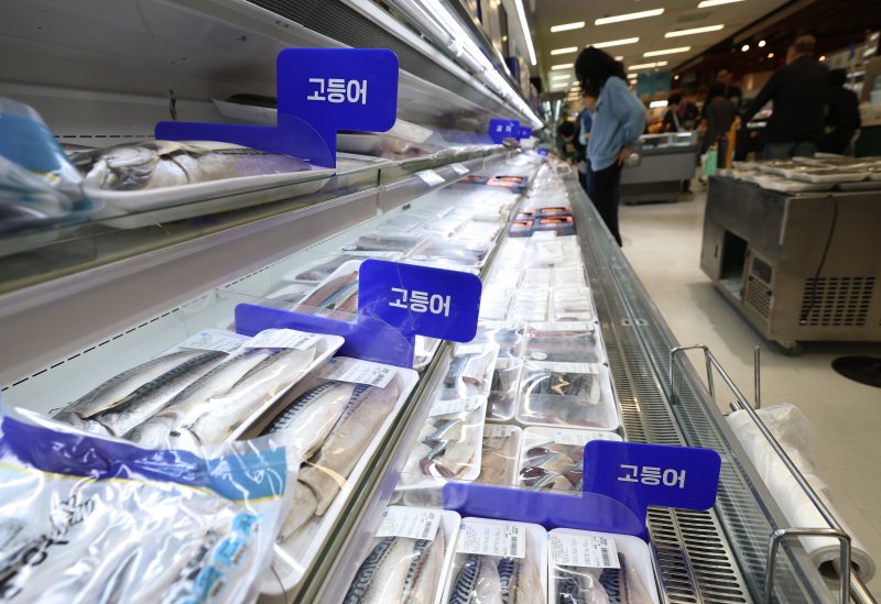 서울의 한 대형마트 수산물 코너에서 장을 보는 고객들. 2025.11.4/뉴스1 ⓒ News1 오대일 기자