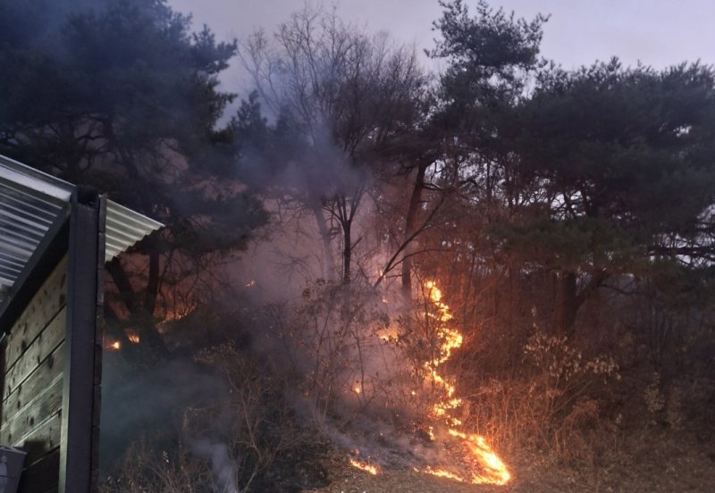 7일 오전 6시 42분쯤 충북 제천시 백운면 방학리 한 야산에서 불이 나 40여분 만에 꺼졌다. (독자제공. 재판매 및 DB금지)/뉴스1