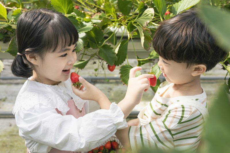 [뉴시스] 사진은 본 기사의 이해를 돕기 위한 이미지 (사진 = 유토이미지) 2025.12.07. *재판매 및 DB금지 *재판매 및 DB 금지