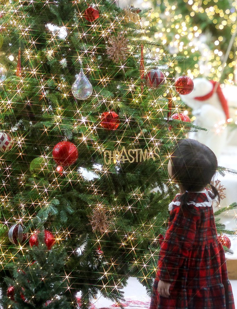 [대구=뉴시스] 이무열 기자 = 7일 대구 북구 엑스코에서 열린 ‘2025 대구 크리스마스 페어’를 찾은 한 어린이가 크리스마스트리를 살펴보고 있다. 2025.12.07. lmy@newsis.com