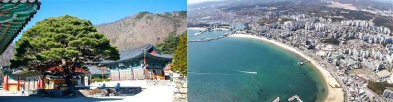 [포항=뉴시스] 송종욱 기자 = 문화체육관광부 주관의 '2026년 열린 관광지 조성 사업'에 선정된 포항 보경사(왼쪽)와 영일대해수욕장 전경. 2025.12.07. photo@newsis.com