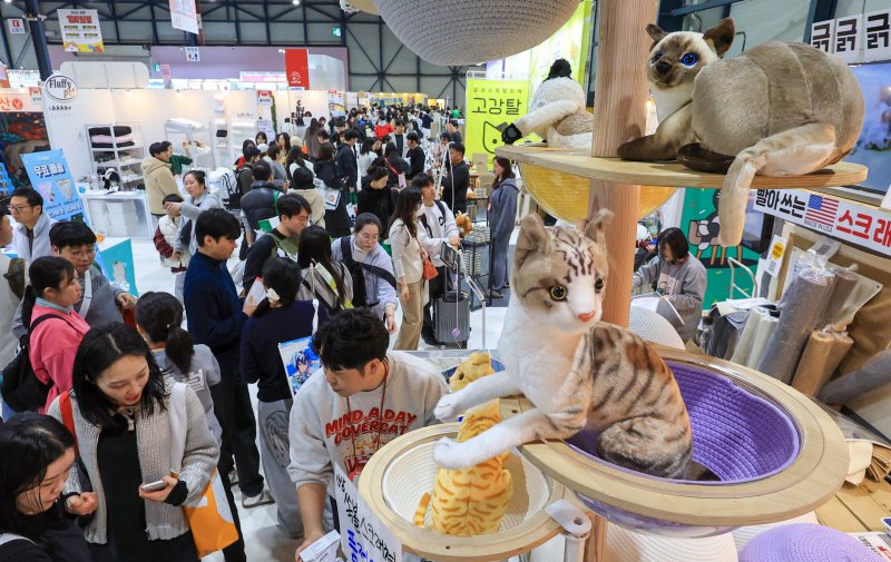 7일 서울 강남구 SETEC(세텍)에서 열린 제35회 궁디팡팡 캣페스타를 찾은 관람객들이 부스를 둘러보고 있다. 2025.12.7/뉴스1 ⓒ News1 이호윤 기자