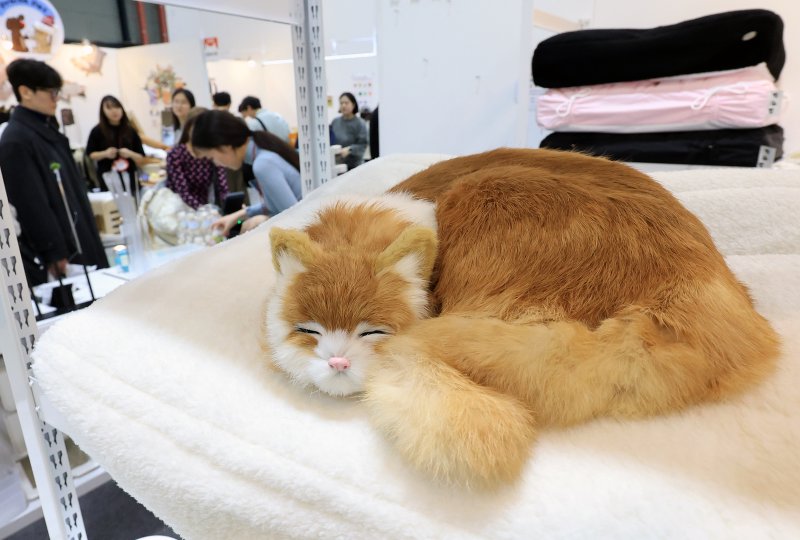 7일 서울 강남구 SETEC(세텍)에서 열린 제35회 궁디팡팡 캣페스타를 찾은 관람객들이 부스를 둘러보고 있다. 2025.12.7/뉴스1 ⓒ News1 이호윤 기자