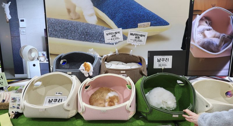 7일 서울 강남구 SETEC(세텍)에서 열린 제35회 궁디팡팡 캣페스타를 찾은 관람객이 부스를 둘러보고 있다. 2025.12.7/뉴스1 ⓒ News1 이호윤 기자