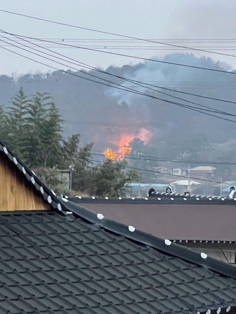 부여 임천면 가신리 산불 현장. (산림청 제공, 재판매 및 DB금지) / 뉴스1