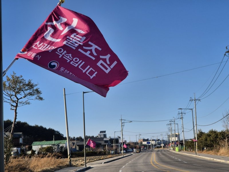 강원 강릉 도로변에 내걸린 산불 조심 깃발.(뉴스1 DB)