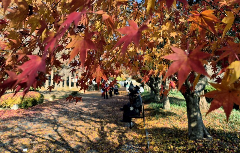 자료사진/뉴스1 ⓒ News1