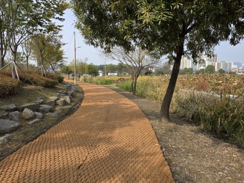 [의왕=뉴시스] 새롭게 정비된 왕송호수 공원 전경. (사진=의왕시 제공).2025.12.08.photo@newsis.com