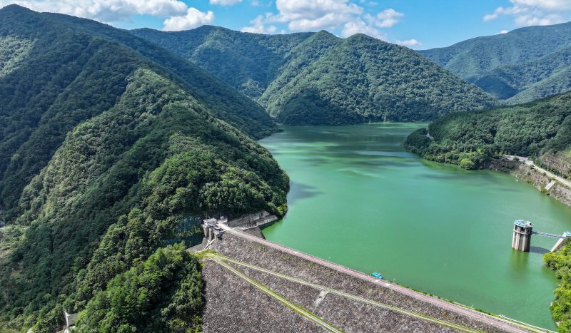 강원 평창군 대관령면 도암댐에 초록빛 물이 차 있다. (뉴스1 DB)ⓒ News1 김진환 기자