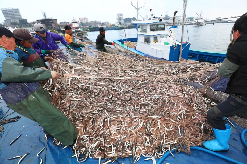 속초항 양미리 조업 자료사진.(뉴스1 DB)