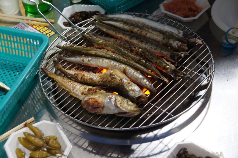 도루묵(속초시 제공 자료사진.재판매 및 DB 금지)