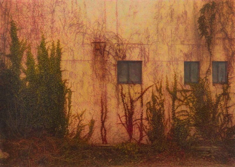 벽 앞의 풍경, 2025, Oil on canvas, 162x227.3cm(150P) (선화랑 제공)