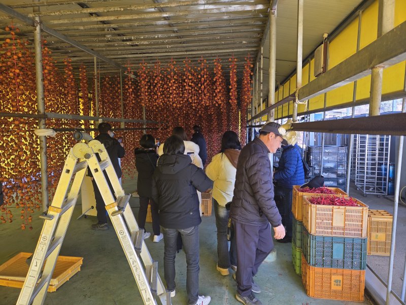 곶감 덕장 방문 장면(논산시 제공.재판매 및 DB금지)/뉴스1