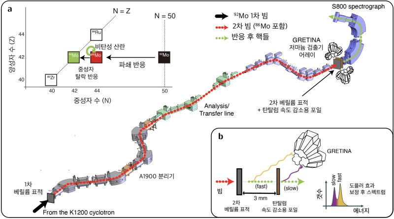 원자핵 생성과 감마선 측청 실험 과정(IBS 제공) /뉴스1