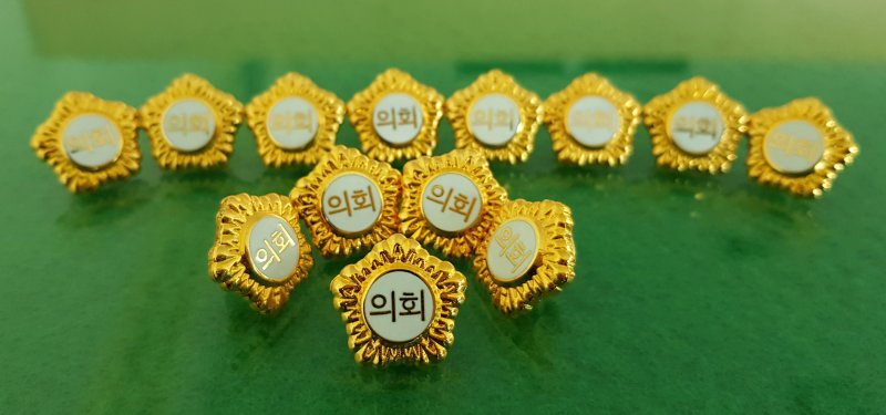 기초의원 뱃지.2018.6.21/뉴스1 ⓒ News1 최창호 기자