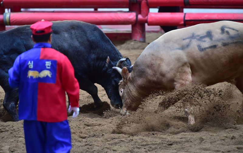 (출처=뉴시스/NEWSIS)