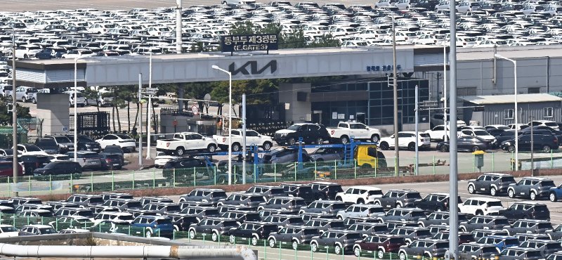 [평택=뉴시스] 김종택 기자 = 지난 9월16일 경기 평택시 포승읍 평택항 자동차 전용부두에 수출용 차량이 세워져 있다. 2025.09.16. jtk@newsis.com