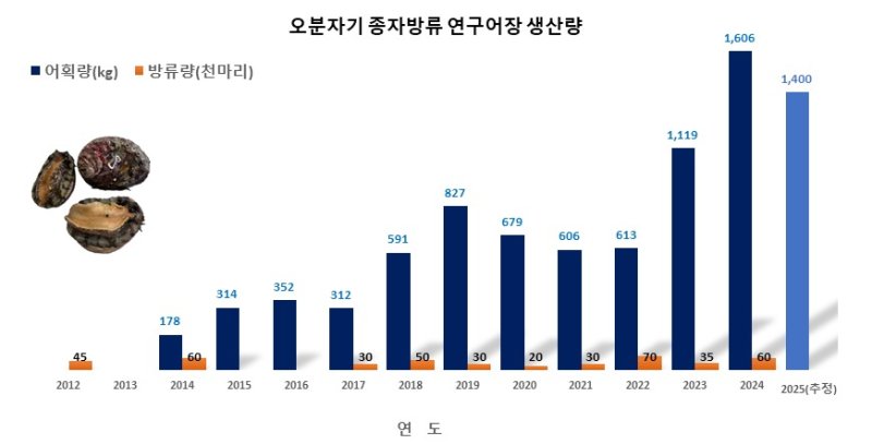 오분자기 종자 방류 연구어장 생산량(제주도 제공. 재판매 및 DB금지)/뉴스1