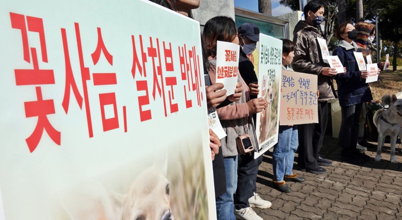 [제주=뉴시스] 오영재 기자 = 꽃사슴 유해동물 중단 및 생명 공존 제주행동이 8일 오후 제주도의회 앞에서 꽃사슴 유해동물 지정 반대 기자회견을 하고 있다. 2025.12.08. oyj4343@newsis.com