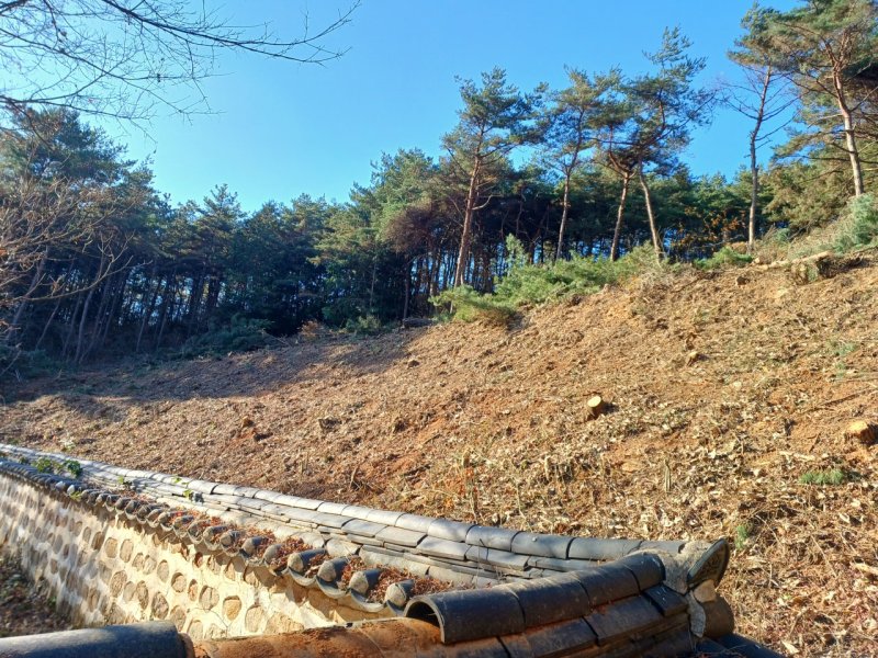 영광군이 연흥사·내산서원에 산불안전공간 조성 사업을 추진 중이다. (사진=영광군 제공) photo@newsis.com *재판매 및 DB 금지